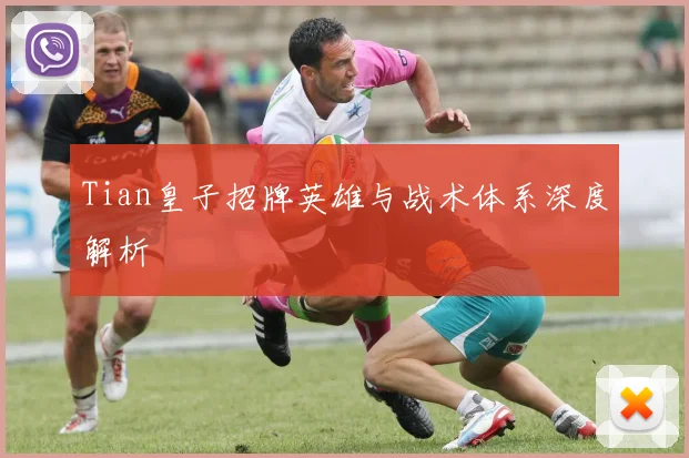 Tian皇子招牌英雄与战术体系深度解析