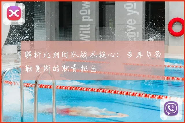 解析比利时队战术核心:多库与蒂勒曼斯的职责担当