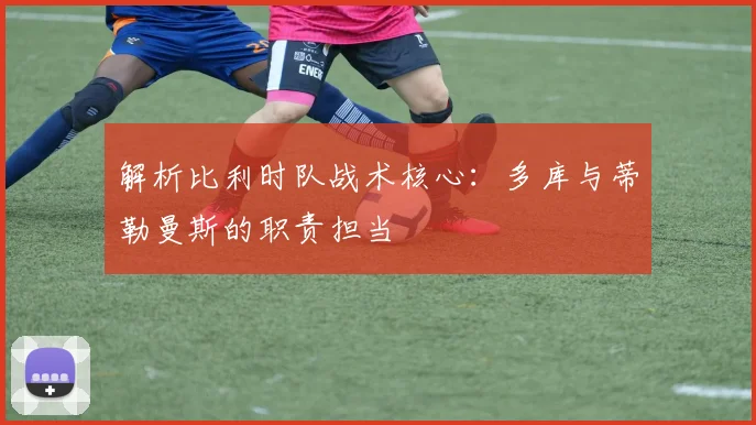 解析比利时队战术核心:多库与蒂勒曼斯的职责担当